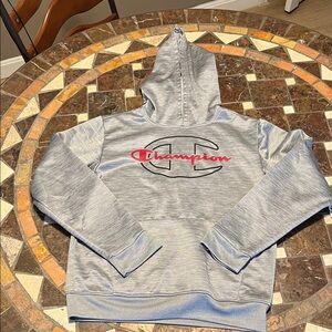 Champion Men's Heather Gray Hoodie